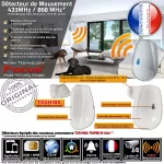 Alarme 4G pour camping-car avec alertes sur téléphone